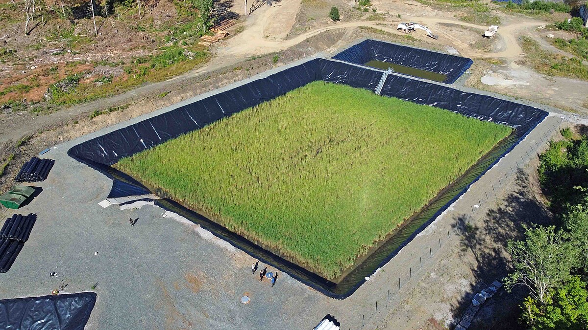 Die Luftaufnahme zeigt ein fußballfeldgroßes, mit schwarzer Folie ausgelegtes Wasserbecken mit grünen Wasserpflanzen.