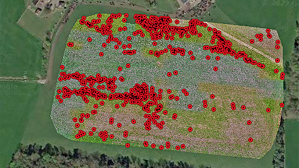 Auf der Luftaufnahme einer Grünfläche neben einem landwirtschaftlichen Betrieb sind zahlreiche Punkte markiert.