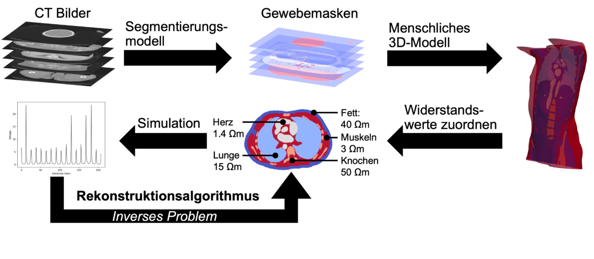 Die Grafik zeigt den Weg von CT-Bildern über Segmentierungs- und 3D-Modellen zu Tomogrammen in Rückkopplung mit Spannungsmessungen.