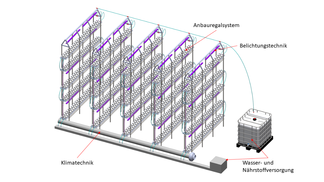 Die Grafik zeigt eine Reihe hoher Regale mit mehreren Pflanzbehältern übereinander, sowie Klima- und Belichtungstechnik, Wasser- und Nährstoffversorgung.